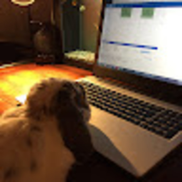 Meet your Posher, Marie-pier - Picture 1 of 1